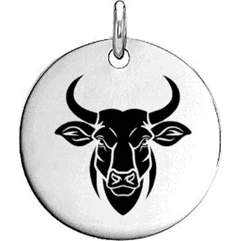 Přívěsek Ocelový přívěsek zvěrokruh BÝK