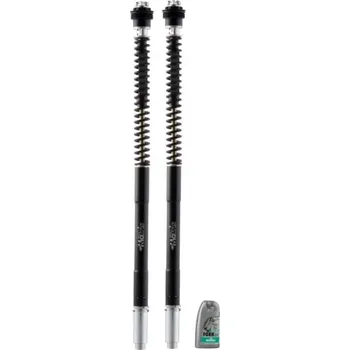 Matris Dampers Itálie Ducati PANIGALE 1199S 12/14 Náboje předních vidlic ''fork cartridge kit'' F25R