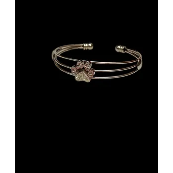 Náramek Náramek chirurgická ocel- tlapka 1