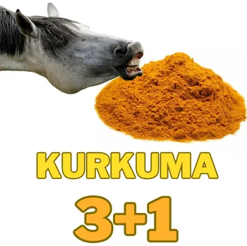 Kurkuma mletá 3+1 kg ZDARMA (Cena je celkem za 4 kg !)