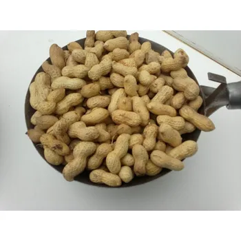 Chov hospodářského zvířete KRMNÉ SMĚSI KVÍDERA Podzemnice olejná - burák neloupaný 10 kg