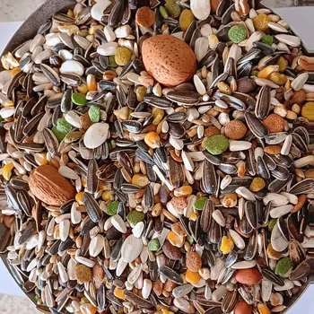 Krmivo pro hospodářské zvíře Versele Laga n.v. Směs pro papoušky Ara Loro Mix 1 kg