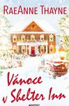 Vánoce v Shelter Inn - RaeAnne Thayne…