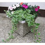 PROFIBA Betonový květináč Loučná