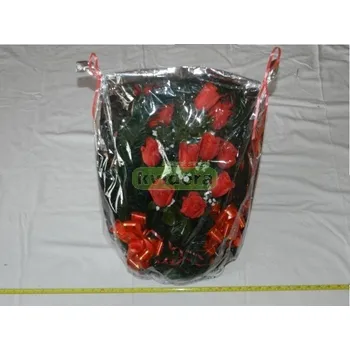 Krmivo pro hospodářské zvíře Krmné směsi Kvídera Květina stojící oranžová