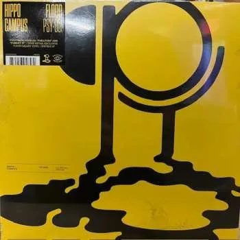 Zahraniční hudba 2LP Hippo Campus: Flood CLR | LTD 2024 Coloured Clear Galaxy Vinyl Limited Edition