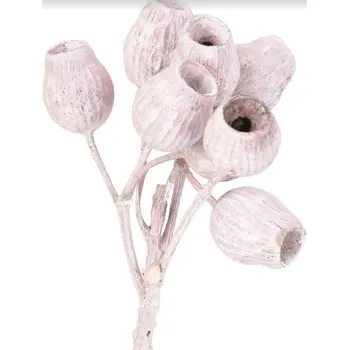 Gum bells 5+ frosted rose, 10 ks