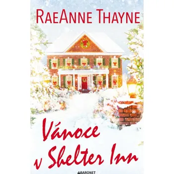Kniha Vánoce v Shelter Inn - RaeAnne Thayne (E-Kniha)