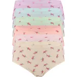 Františka klasické dámské kalhotky - 5bal XL vícebarevná