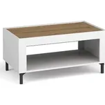 Dolmar Konferenční stolek MORASS MO9 | bílá