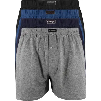 Trenýrky Hardy pánské nadměrné trenýrky HF429 - 4bal 6XL vícebarevná