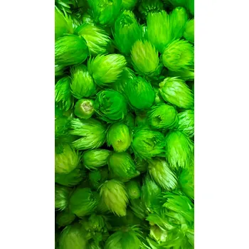 Sušené slaměnky - Capblumen loose dyed green, 100 g