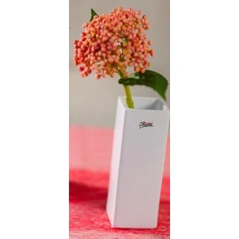 Váza Paramit QUADRO Váza hranatá 6,5x18 cm bílá