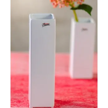 Váza Paramit QUADRO Váza hranatá 6,5x24 cm bílá