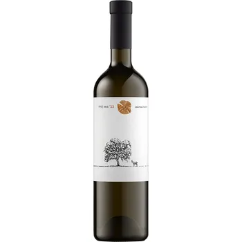 Víno Chateau Rúbaň Svůj sen 2023, 0,5l 11,5%