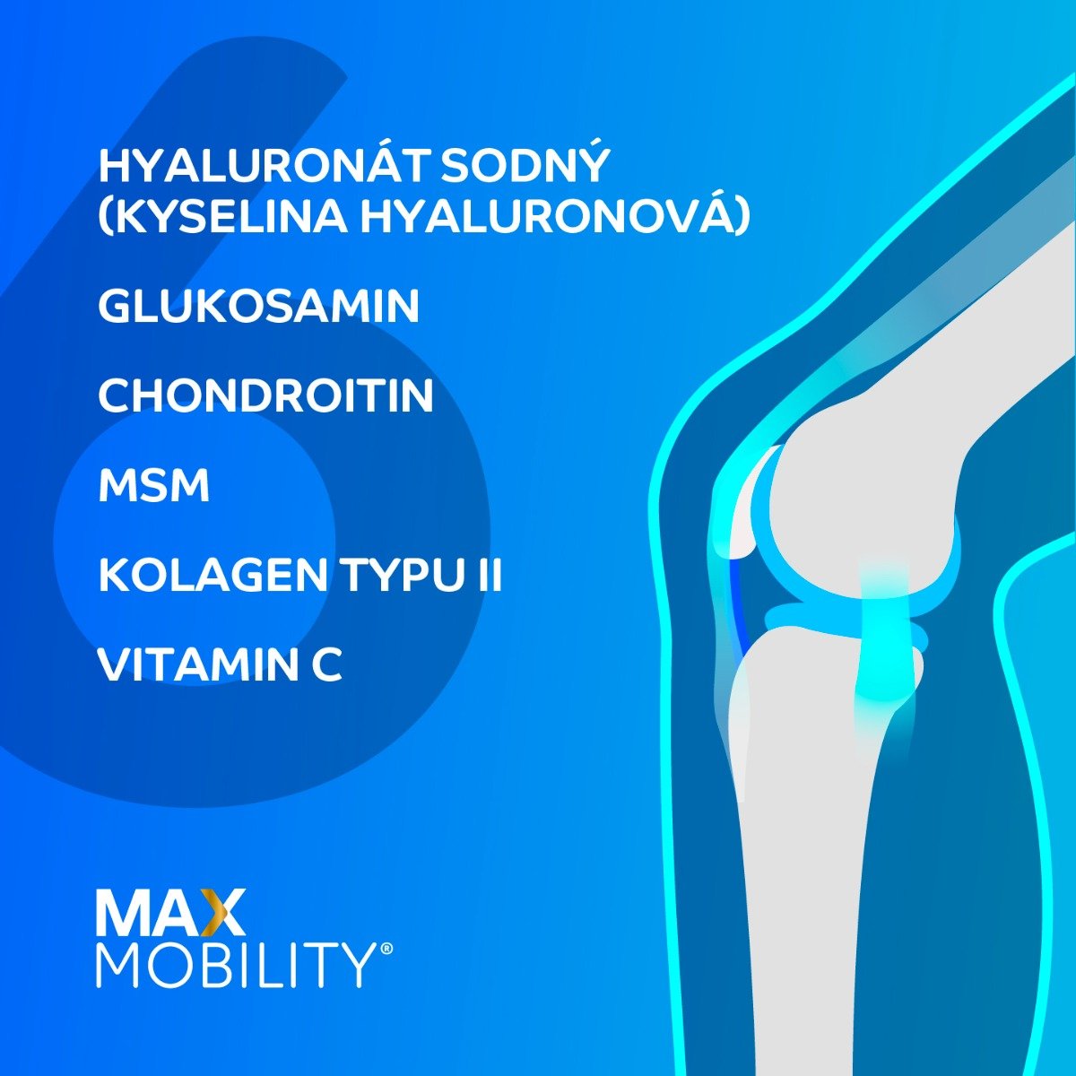 foto Kloubní výživa Dr. Max Mobility Complex 6 Active 180 tbl.