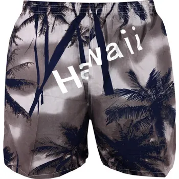 Pánské plavky Havana pánské šortkové plavky 4XL šedá