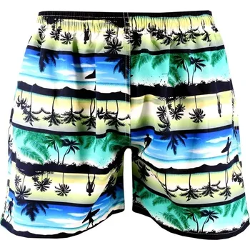 Pánské plavky Palmas pánské koupací šortky BK-9049 S modrá