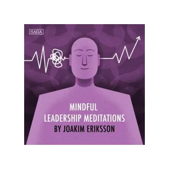 Cizí jazyk Navigating in Complexity - Introduction (EN) audiokniha