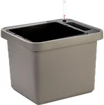 Plastia Berberis Uno 45 cm