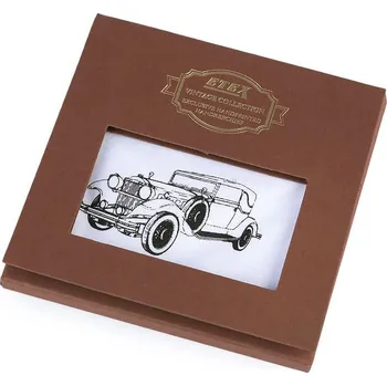 Látkový kapesník Pánský kapesník kolo, auto, motorka / dárková kazeta