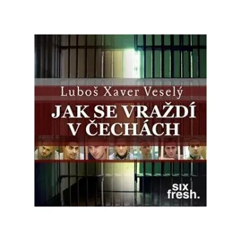 Jak se vraždí v Čechách audiokniha