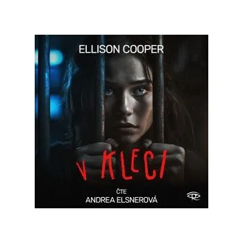 V kleci audiokniha