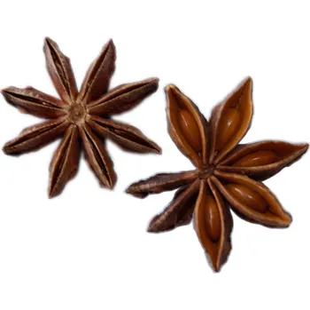 Koření Profikoření - Badyán celý (10 Kg) (celé hvězdy i lámané kousky - mix)
