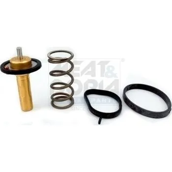 Těsnění motoru Termostat, chladivo MEAT & DORIA 92839