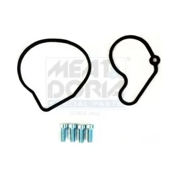 Brzdový systém Opravná sada, podtlaková pumpa (brzdová soustava) MEAT & DORIA 91114