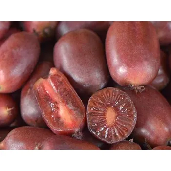 Sazenice Kiwi 'Scarlet September' kontejner C2