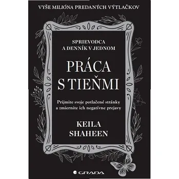 Populárně naučná literatura pro dospělé Práca s tieňmi: Prijmite svoje potlačené stránky Kniha