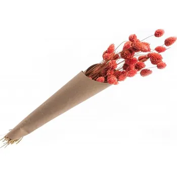 Party dekorace Chaks Zväzok trávy - Chrastnica Phalaris ružová 60 cm