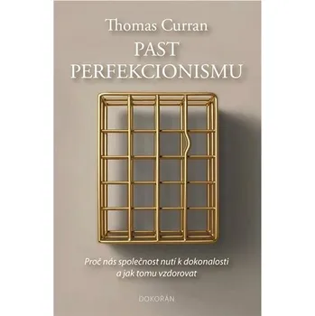 Past perfekcionismu: Proč nás společnost nutí k dokonalosti a jak tomu vzdorovat Kniha