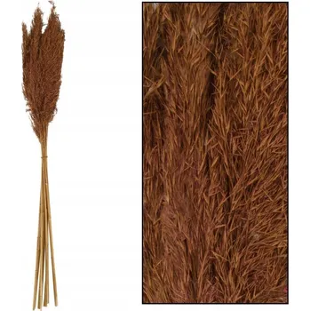 umělá květina Sušené rostliny sušené tráva rákosu hnědého - 75 cm - 10 kusů