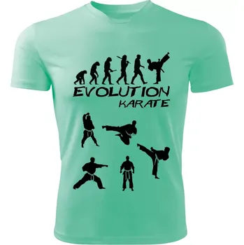 Pánské tričko KARATE tričko Evolution mátové S (pánské tričko EVOLUTION sportovní )