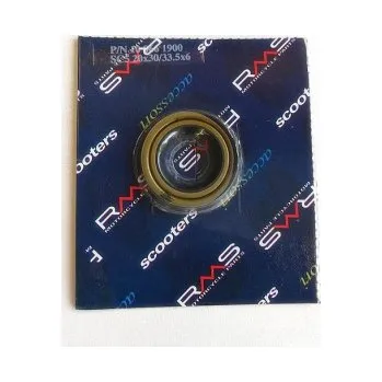 Motor pro motocykl Simerink RMS 20x30/33,5x6 na skútr