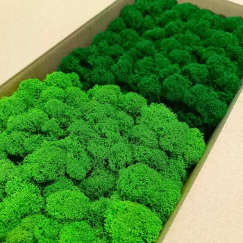 Obraz Sobí mech chrobotek 200g net. ČIŠTĚNÝ finský PREMIUM mix 2