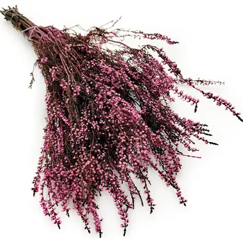 mech-mech.cz Stabilizovaný vřes (Erica) - Růžový