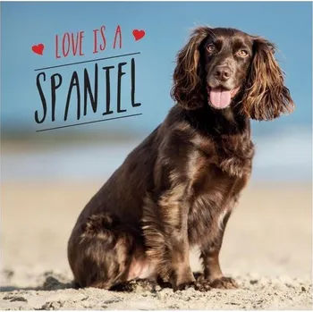 Umění Love is a Spaniel