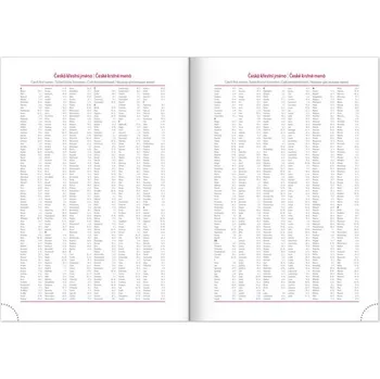 Diář Denní diář 2025 Aprint modrý