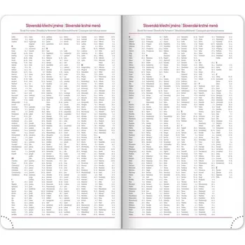 Diář Kapesní diář Ajax 2025 černý