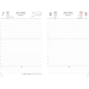 Diář Denní diář 2025 A5 Bora černo/zelený