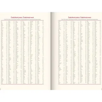 Diář Denní diář Twill 2025 modro-stříbrný