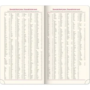 Diář Kapesní diář 2025 Vivella Top černý