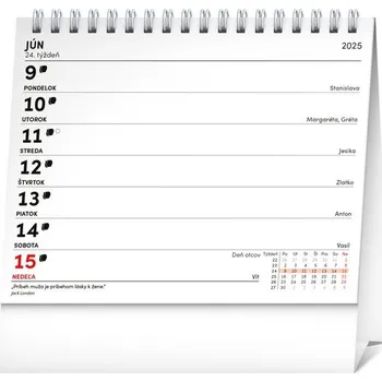 Kalendář Mini plánovací kalendár 2025 - stolový kalendár