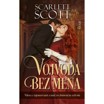 Umění Vojvoda bez mena