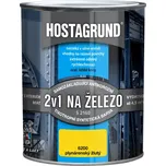 Hostagrund 2v1 S2160 600 ml