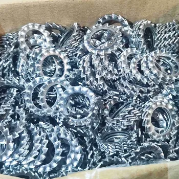 Matice Podl.vějířová A A2 10,5