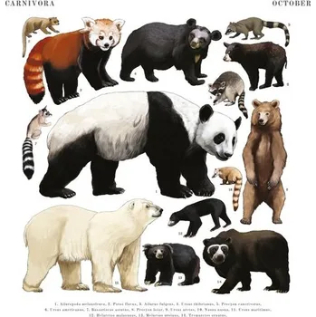 Kalendář Poznámkový kalendář Animalium 2025 - nástěnný kalendář